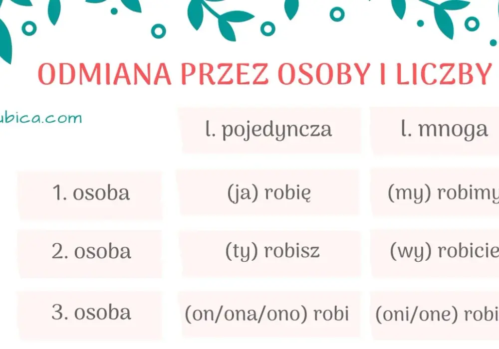 Jak rozpoznać czasowniki przechodnie i nieprzechodnie? Test!