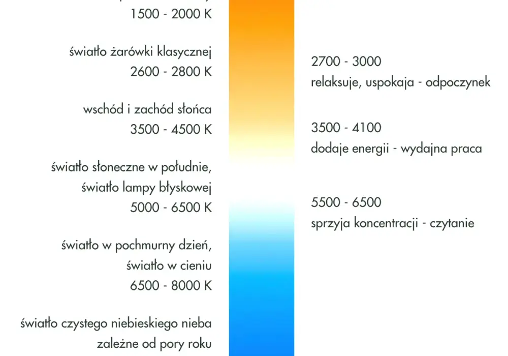 Jaka barwa światła do nauki jest najlepsza - poznaj kluczowe parametry