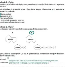 Czy matura z biologii jest trudna? Odkryj, co naprawdę czeka na Ciebie