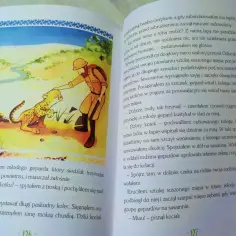 Afryka Kazika: przygoda z młodym gepardem, który utknął. Człowiek pomaga mu, opatrując ranę.
