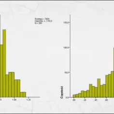 Dwa histogramy pokazują rozkład danych. Na lewym wykresie dominanta jest blisko 0,75.