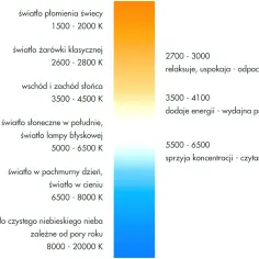 Jaka barwa światła do nauki jest najlepsza - poznaj kluczowe parametry