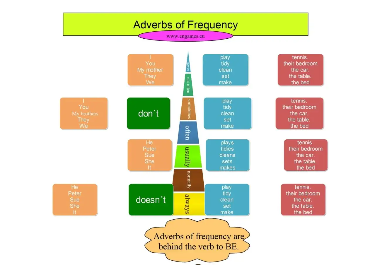 English adverbs of frequency chart