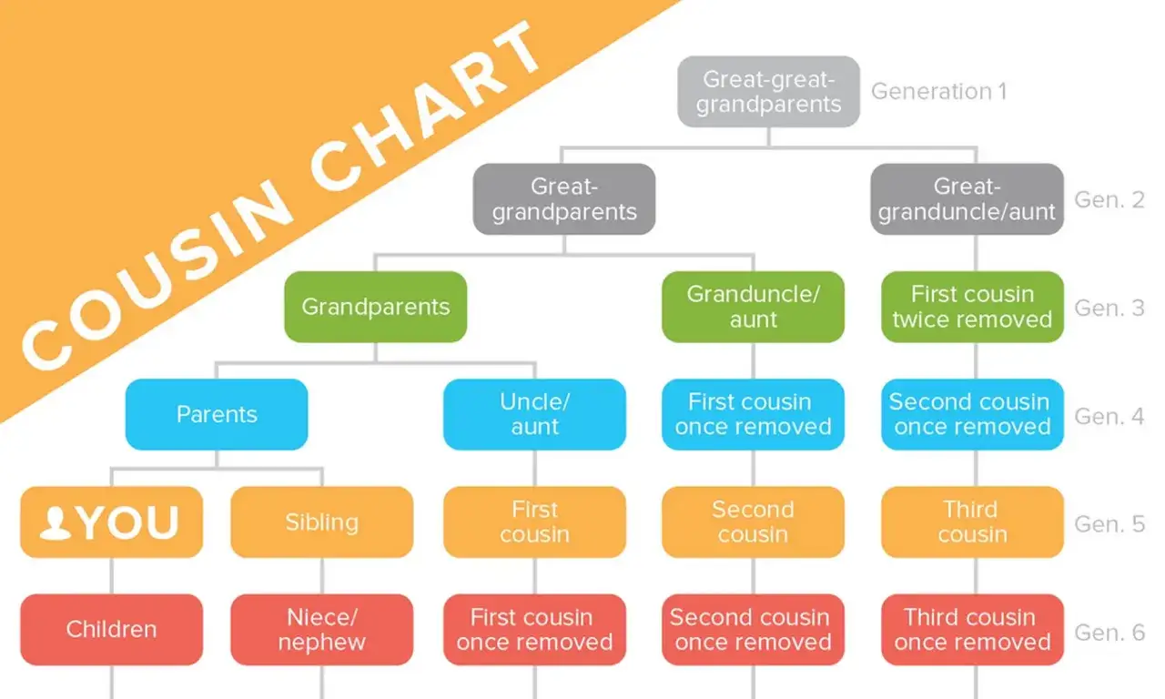 family tree cousins explained