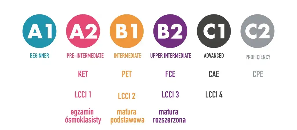 Zdjęcie Jaki poziom angielskiego po maturze: Kompletny poradnik ze skalą CEFR