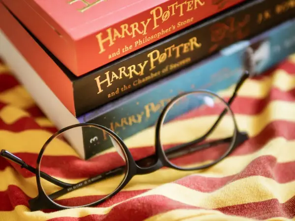 Harry Potter lekturą szkolną? Sprawdź oficjalny status