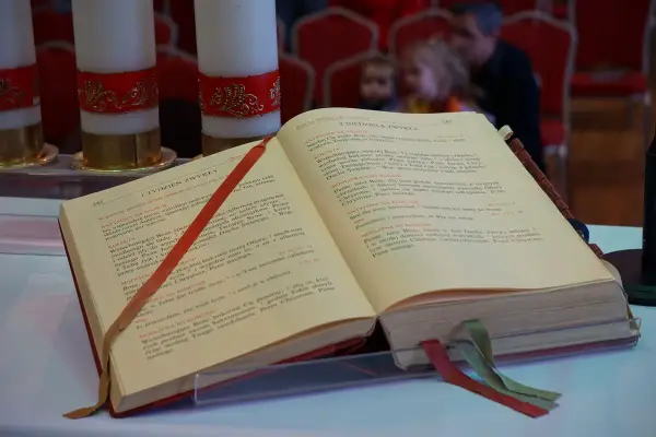 Mea culpa co to znaczy? Znaczenie, historia i użycie